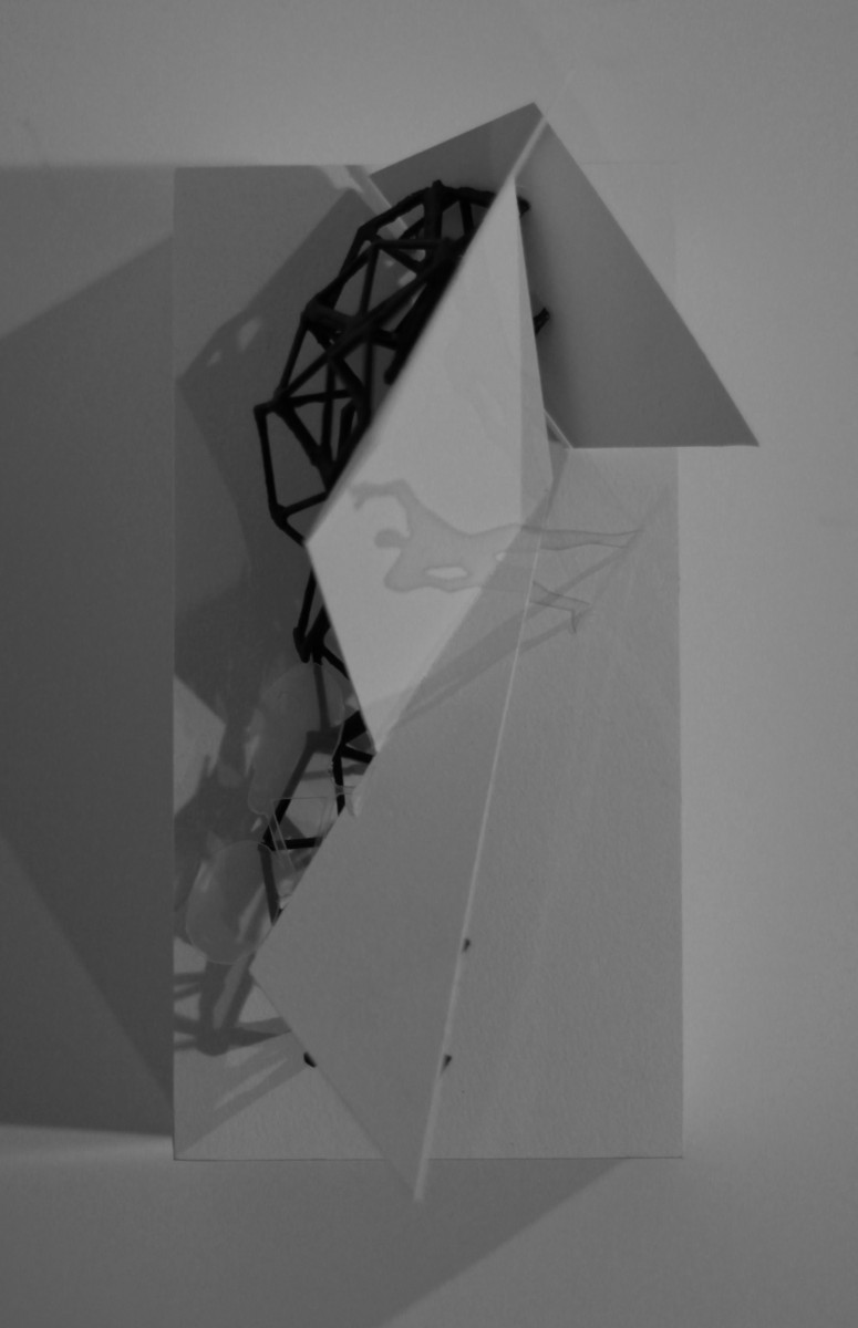 _IMG_4476